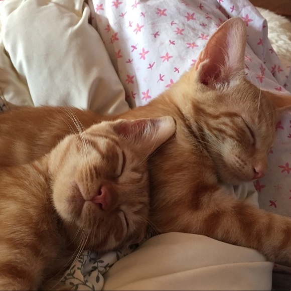 Gamine: noun; girl with mischievous or boyish charm. - Picture 10 of 16